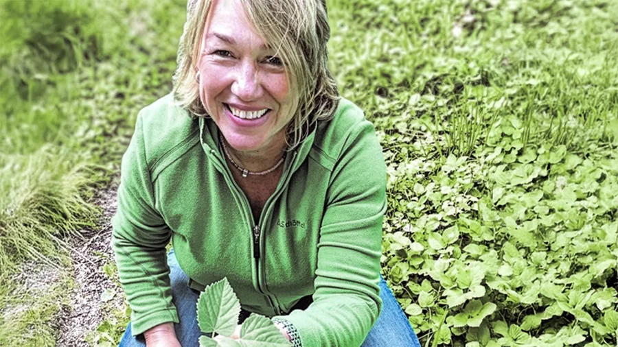 Kulinarische Wildkräuter-Spaziergänge mit Janine Hissel