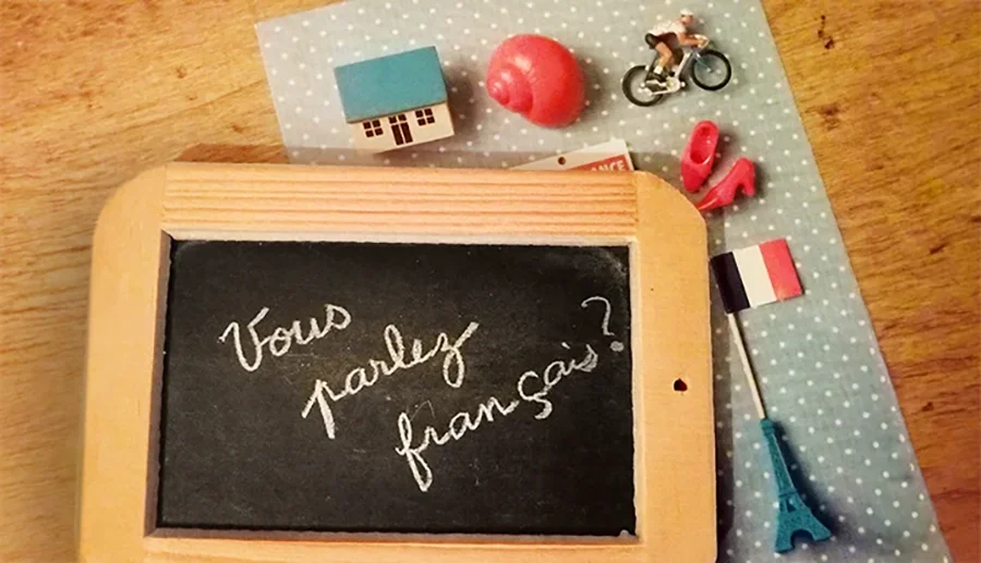 En français, s’il vous plaît !