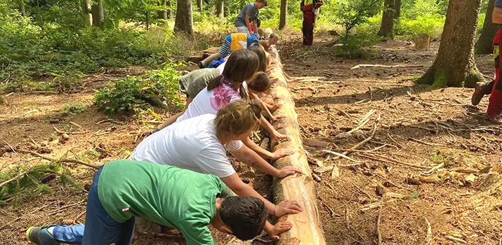 Kinder rollen gemeinsam großen Baumstamm beim Waldwochen Projekt