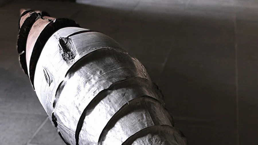 Holger Vanicek: „Einzug der Skulpturen ins belgische Zollhaus“