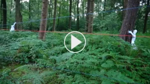 raub der europa screenshot vimeo video