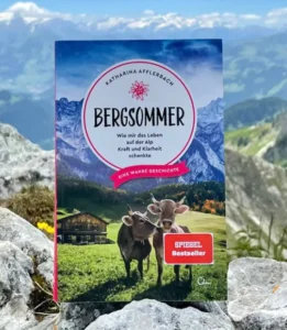 bergsommer buchtitel